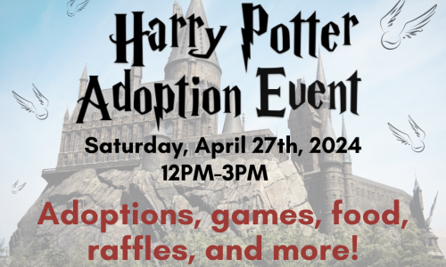 Harry Potter Adoption Event